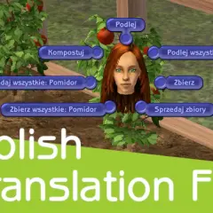 Jak poprawnie zainstalować spolszczenie do The Sims 2 Ultimate Collection