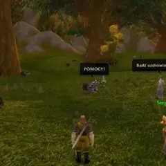 World of Warcraft spolszczenie: Jak grać w WoW po polsku?