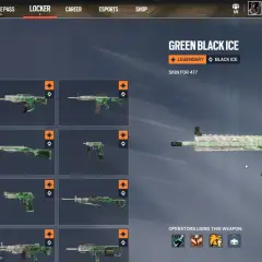 Zielony skin "black ice" na karabin 417. Kolekcja broni z gry, gdzie każdy element wygląda jak zamrożony.
