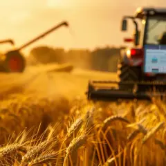 Farming Simulator 22 za darmo: Jak zdobyć? Legalne metody