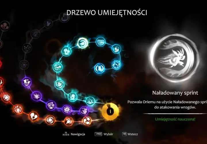 Jak zainstalować spolszczenie do Ori and the Blind Forest: kompletny poradnik