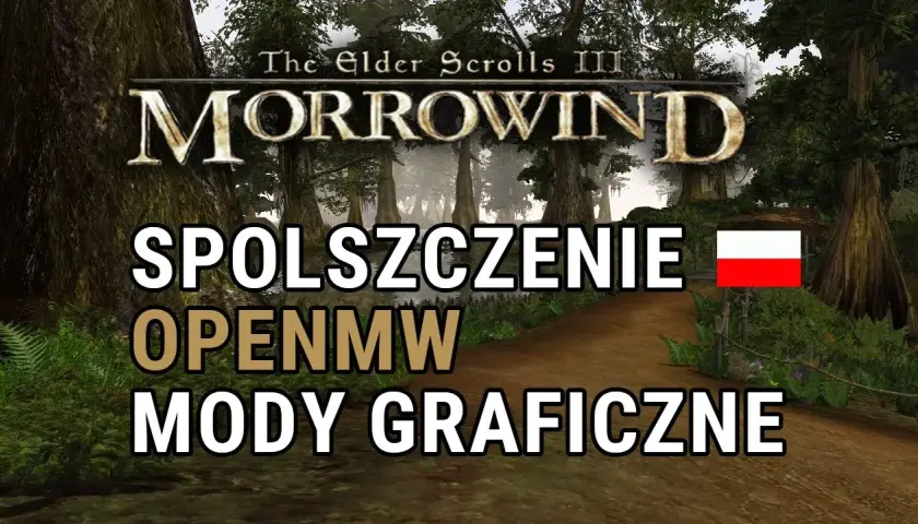 Jak zainstalować spolszczenie Morrowind - instrukcja krok po kroku + Dubbing